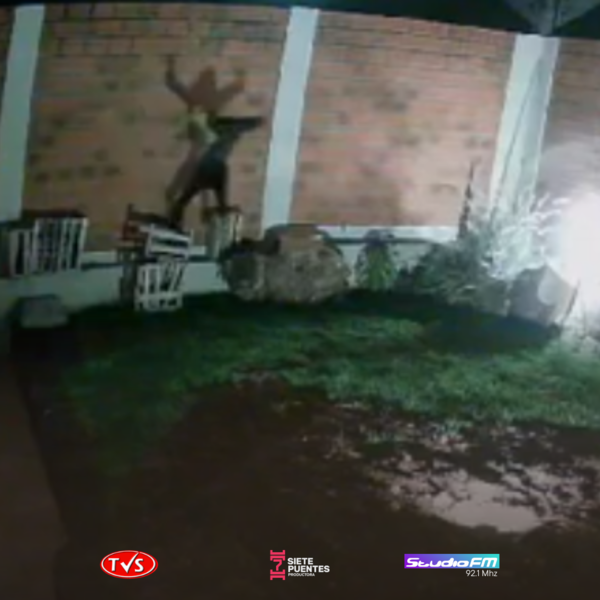 LADRÓN SORPRENDIDO EN VIVIENDA DE ENCARNACIÓN HABRÍA SIDO DETENIDO DÍAS ATRÁS - TVS