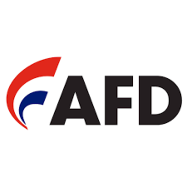 ¿Cuáles son los sectores que encabezan el Ranking de la cartera de créditos AFD al cierre del 2024? | Locales | 5Días