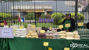 Feria de la Agricultura Familiar se realizará este viernes en la Costanera - Unicanal