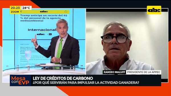 Ley de Créditos de Carbono: “sería una pena no aprovechar este negocio”, dice presidente de la APPEC - Mesa de Periodistas - ABC Color