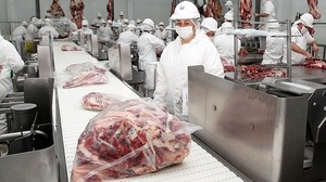 Estudio sobre la cadena de valor de la carne apunta a impulsar el sector y fomentar mayores inversiones