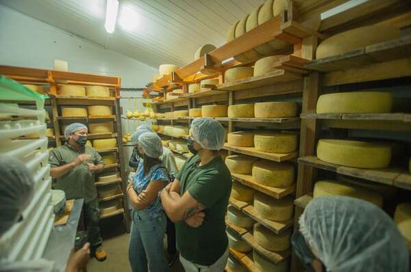 “El tour del queso y la ruta de la caña” invitan a visitar Piribebuy en el feriado largo - Viajes - ABC Color