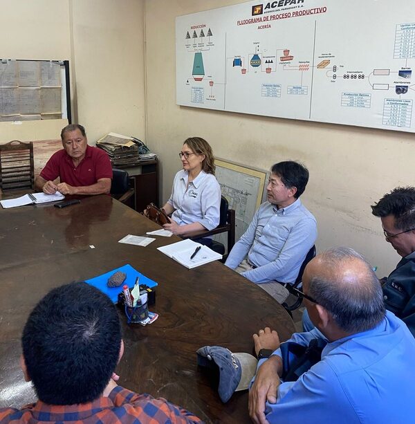 Misión técnica japonesa llegó al país para avanzar con proyecto de agua potable en Villa Hayes - .::Agencia IP::.