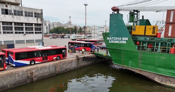 Buses eléctricos arribarán al país a mediados de marzo