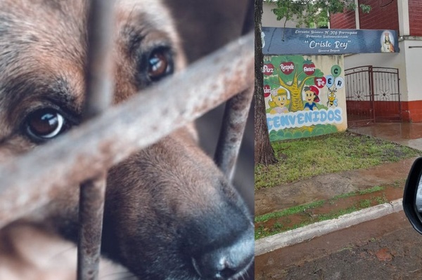 Religioso sup. habría asesinado con un martillo a un perro en General Delgado.
