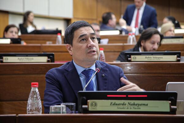 Senador dice que "existe acuerdo entre poderes" para "enterrar" el caso "Lalo chats" - 1000 Noticias