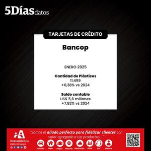 El saldo en cartera de tarjetas del Bancop cerró en US$ 5,6 millones, en enero | Bancos | 5Días