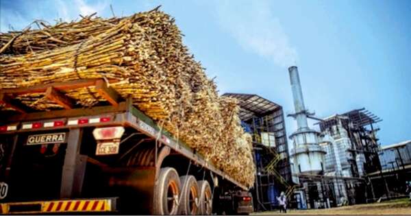 La Nación / Sector azucarero produjo más de 170.000 toneladas en 2023, según UIP