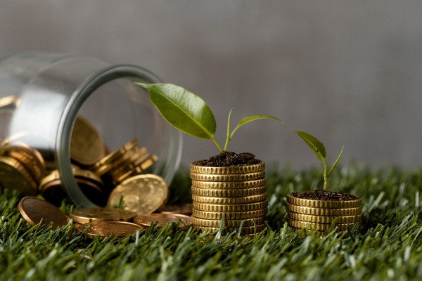 AFD emite bonos ODS por G. 120.000 millones para financiar proyectos de vivienda, educación y mipymes - MarketData
