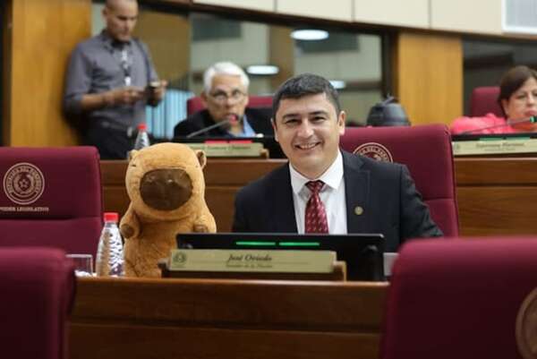 Cambios a ley del JEM: apercibimientos a magistrados cuestan US$ 280.000 al Estado, según senador - Política - ABC Color