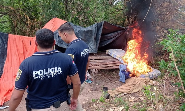 Antinarcóticos cortan e incineran cinco hectáreas de marihuana en Carayaó - OviedoPress