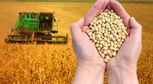 Capeco: 45 años impulsando la exportación y el desarrollo agrícola - Empresariales - ABC Color