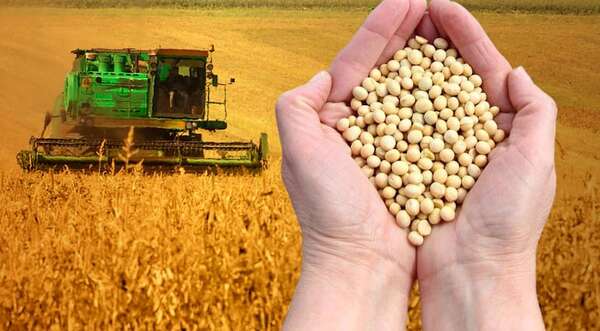 Capeco: 45 años impulsando la exportación y el desarrollo agrícola - Empresariales - ABC Color
