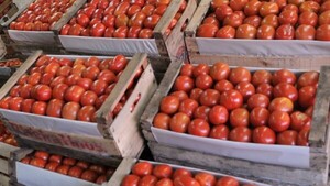 Tomate importado llega más caro por aumentos en origen