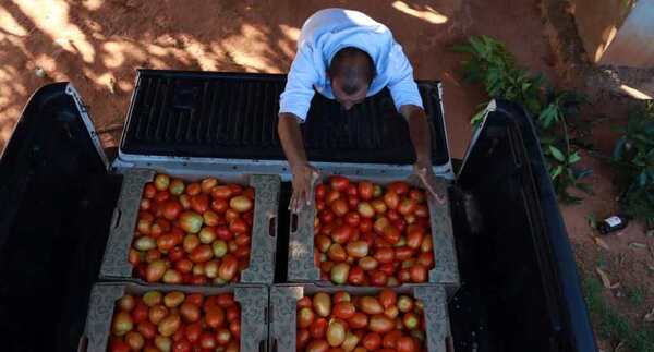 Productores lograron comercializar 1.250 kilos de hortalizas