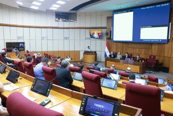 Cambios a la ley del JEM: ¿qué se decidió en la audiencia convocada por senador Oviedo? - Política - ABC Color