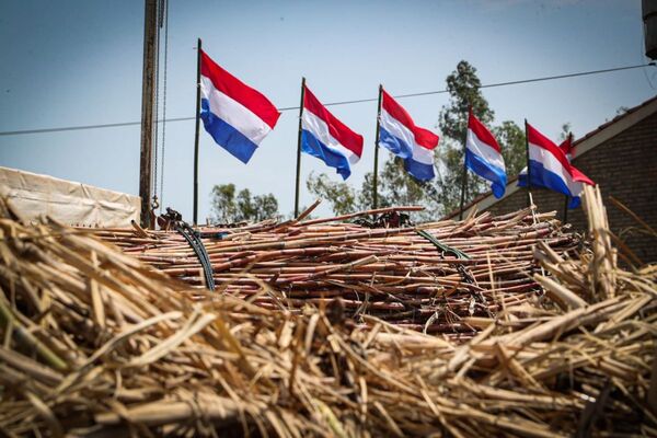 Producci贸n azucarera de Paraguay creci贸 11% y alcanz贸 170.886 toneladas durante el 2023