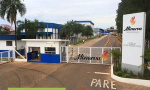 Fuga de amoníaco en frigorífico de San Antonio deja al menos 40 intoxicados - OviedoPress