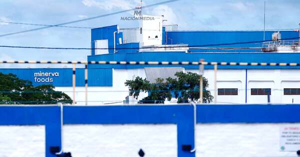 Diario HOY | Municipio ordena inhabilitación de frigorífico tras fuga de amoníaco en San Antonio