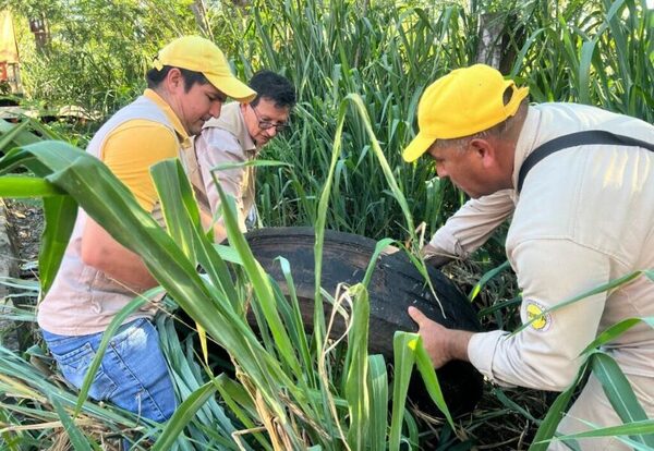 Instituciones suman esfuerzos en Alto Paraná contra las arbovirosis