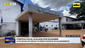 Video: comitiva fiscal-policial fue atacada por enjambre de abejas durante allanamiento en Concepción - ABC Noticias - ABC Color
