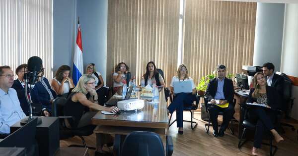 La Nación / Senado socializa proyecto de ley sobre restitución internacional de niños, niñas y adolescentes