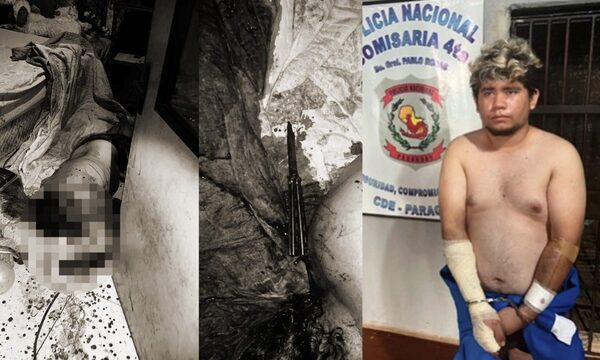 Joven mata de 40 puñaladas a su padre, a quien acusa de años de violencia contra su madre – Diario TNPRESS