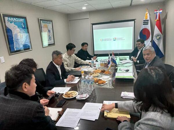 Tras auditoría, carne paraguaya ya sondea el mercado de Corea del Sur - Economía - ABC Color