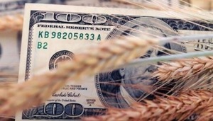 Merma de agronegocios presionaría más al tipo de cambio | Locales | 5Días