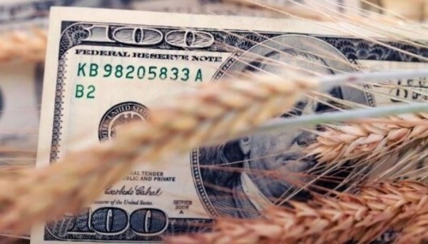 Merma de agronegocios presionaría más al tipo de cambio | Locales | 5Días
