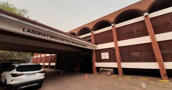 La Nación / Niño de 3 años está en terapia tras ser picado por un alacrán en Lambaré