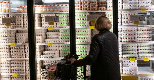La Nación / La gripe aviar en Nueva York dispara la docena de huevos hasta a 15 dólares
