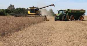 La Nación / Empresas industriales exportaron en 2024 más soja en grano de lo que procesan