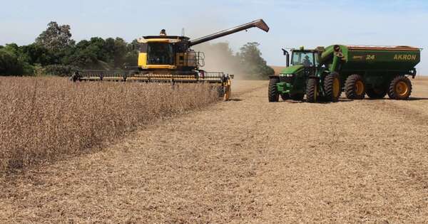 La Nación / Empresas industriales exportaron en 2024 más soja en grano de lo que procesan