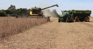 La Nación / Exportaron en 2024 más soja en grano