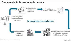 Sostenido avance de los mercados de crédito de carbono a escala global - Economía - ABC Color