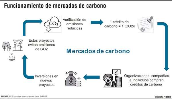 Sostenido avance de los mercados de crédito de carbono a escala global - Economía - ABC Color