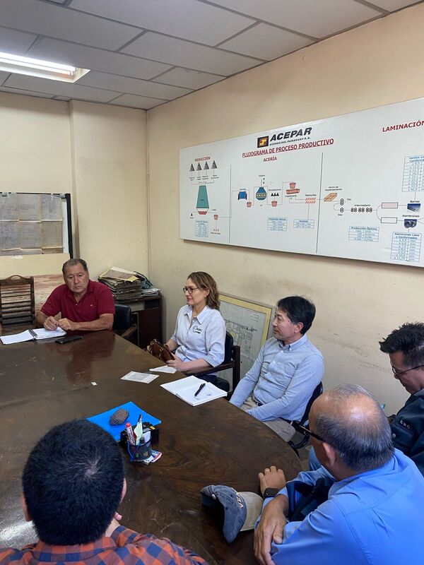Villa Hayes: misión técnica japonesa llegó al país para avanzar con proyecto de agua potable - 1000 Noticias