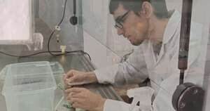 La Nación / Impulsan desarrollo de los bioproductos