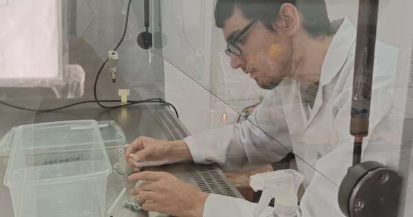 La Nación / Impulsan desarrollo de los bioproductos