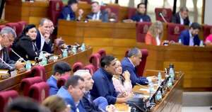 La Nación / Cámara de Diputados reanudará sus actividades con 12 puntos en el orden del día