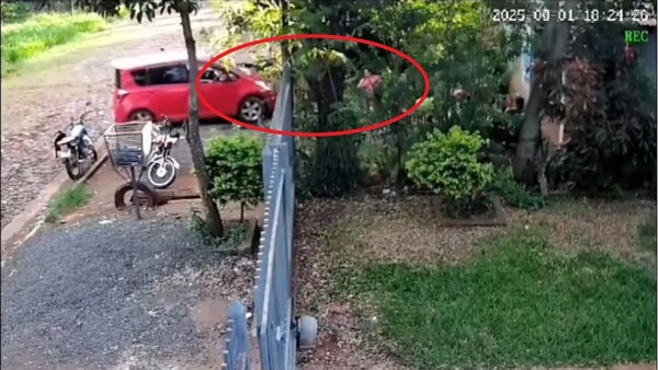 Quiso girar con su auto y atropelló a su vecina