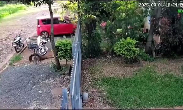 (Video) Perdió el control de su auto y atropelló a sus vecinos, entre ellos a una niña