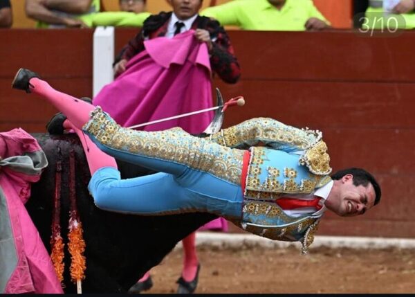 (VIDEO) Informan sobre estado del torero que ligó una corneada ahí atrás: “Le destrozó, pero su vida ya no corre peligro”