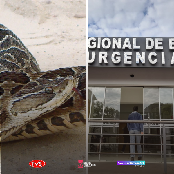 HOMBRE CON ORDEN DE CAPTURA ES IDENTIFICADO TRAS SER TRATADO POR MORDEDURA DE YARARÁ - TVS