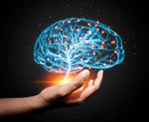 “Hackear” el cerebro para aprender más rápido: técnicas basadas en neurociencia - Estilo de vida - ABC Color