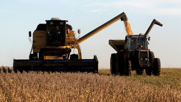 Rubros industrializados llegan solo al 14,1% de la exportación total