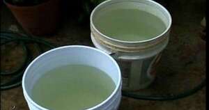 Diario HOY | Bebé de un año muere ahogada tras caer en un balde con agua