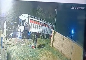 Vídeo. CDE: delincuentes asaltan camión transganado y huyen con G. 110 millones - ADN Digital