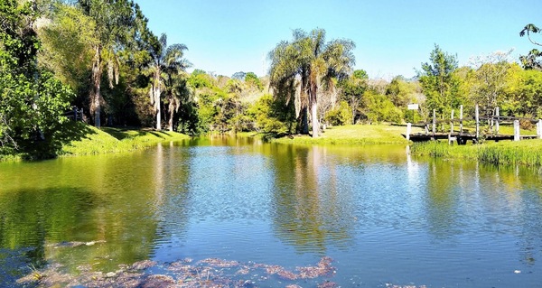 Más de 100 mil aficionados se prepararían para acampar en Itapúa por el WRC - .::Agencia IP::.